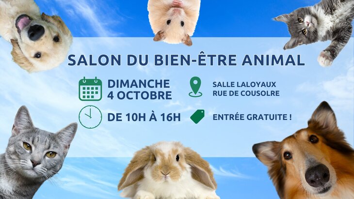 Loisirs Salon Bien-être animal
