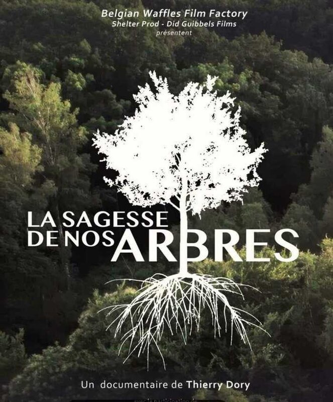 Spectacles La sagesse nos arbres (sous étoiles Perwez-Haillot (Ohey)