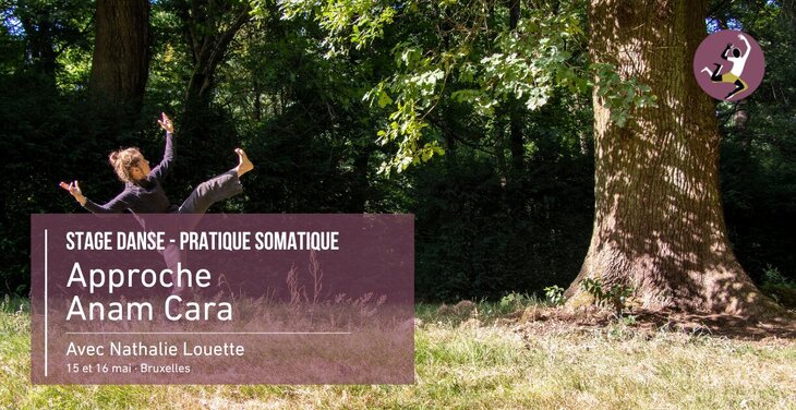 Stages,cours Stage Danse - Approche Anam Cara - Pratique somatique