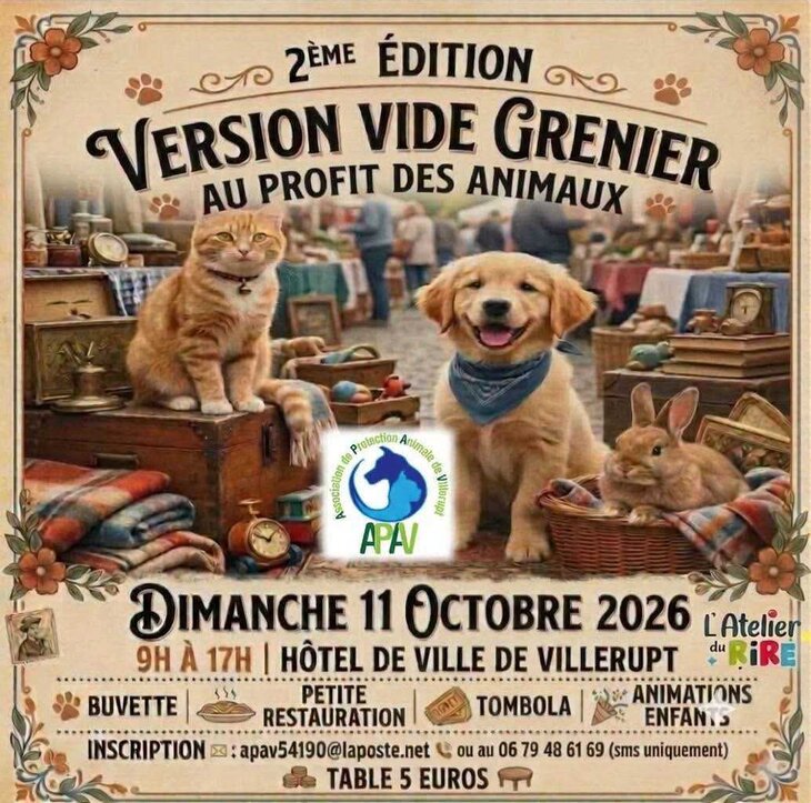  2ème Édition Version Vide Grenier profit animaux (APAV)