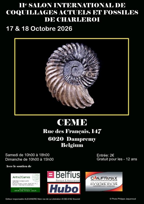 Loisirs Salon International coquillages de fossiles Charleroi