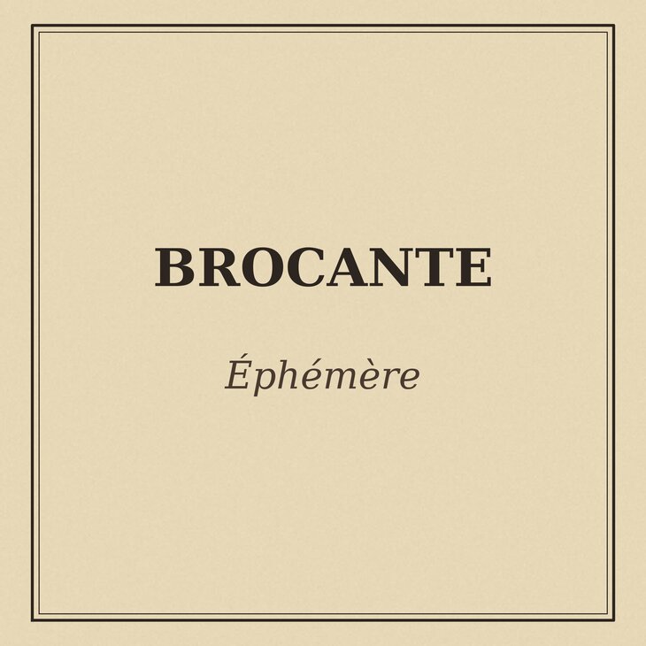  Brocante particuliers, vide maison