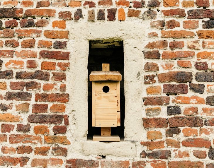 Workshop Vogelhuisje maken