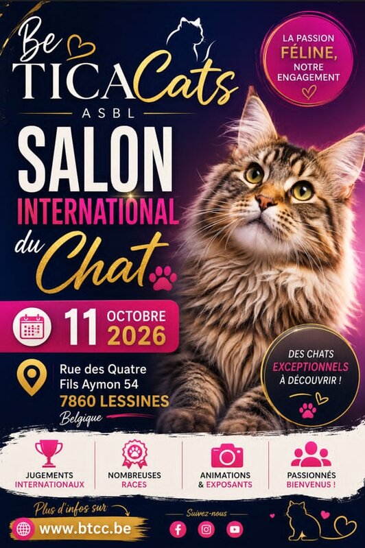 Loisirs Salon International Chat (Lessines )