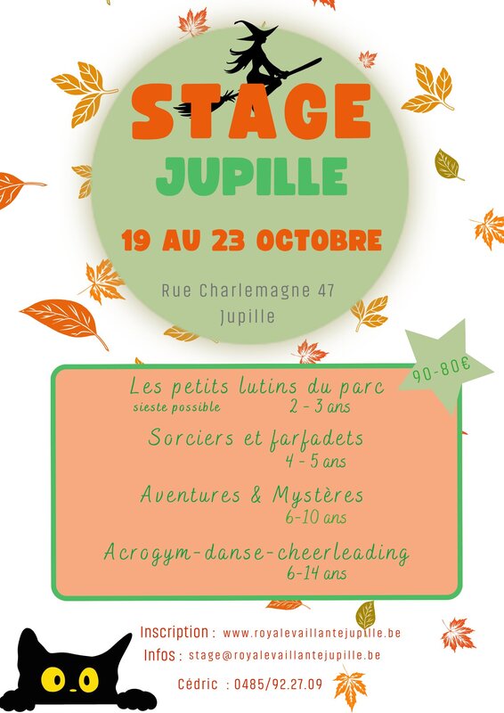 Stages,cours Stage Baby la Royale Vaillante Jupille