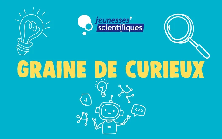 Stages,cours Graines curieux