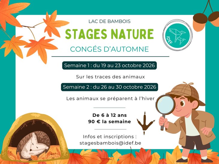 Stages,cours Stage nature pour enfants : la trace animaux