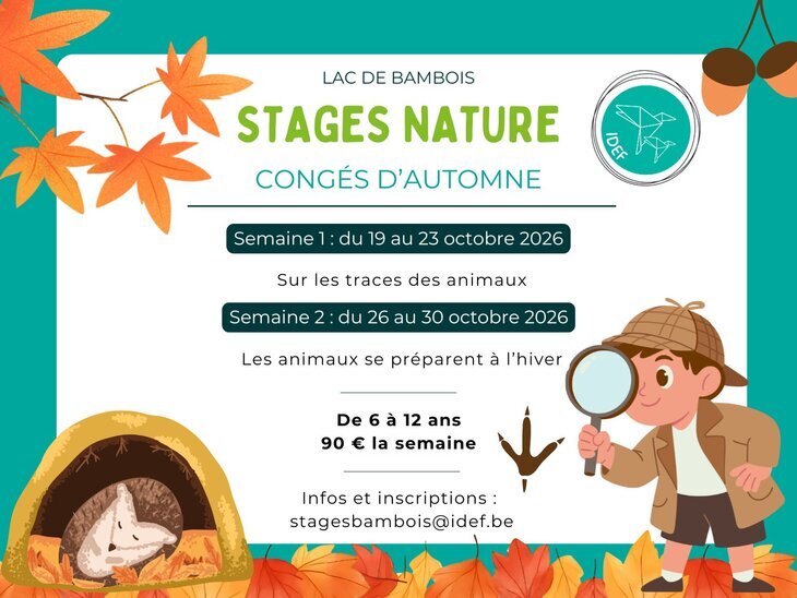 Stages,cours Stage nature pour enfants : la trace animaux