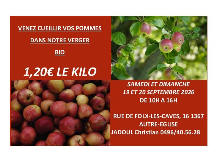 Loisirs Cueillette dans verger bio