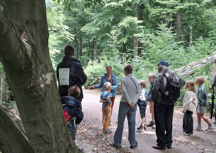 Loisirs Forêt Soignes * forêt travers sens