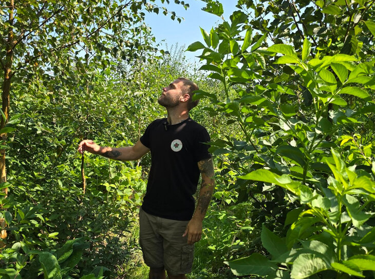 Conférences Conférence  autour l arbre 