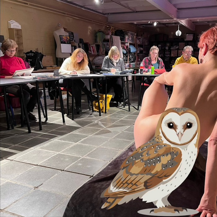 Stages,cours Nu féminin d après modèle vivant