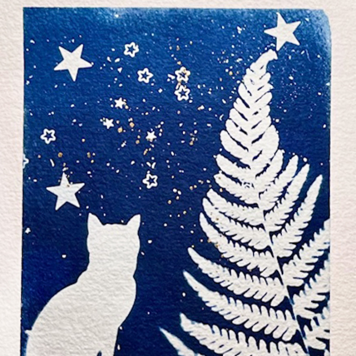 Stages,cours Cartes vœux autres impressions festives Cyanotype