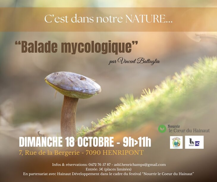 Loisirs Balade mycologique