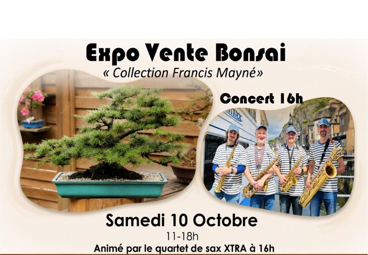 Concerts Concert Xtra Quartet