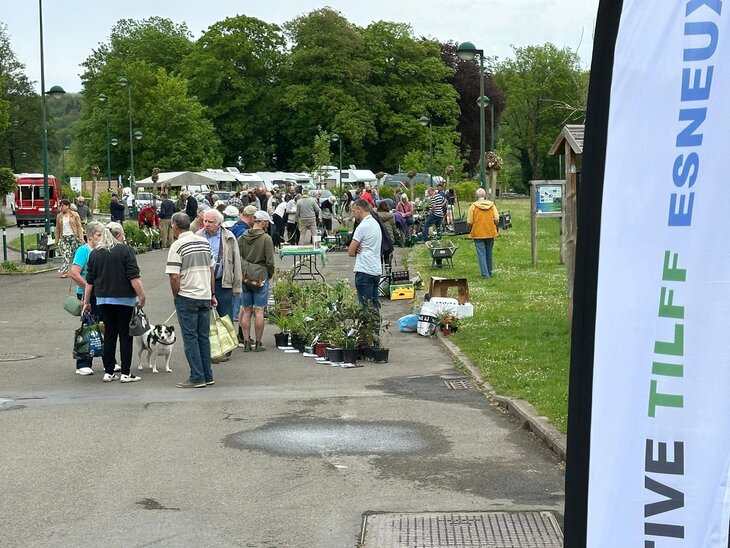 Loisirs Bourse plantes