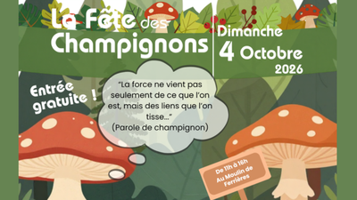 Loisirs La fête champignons