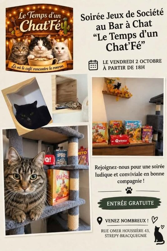 Loisirs Soirée jeux société
