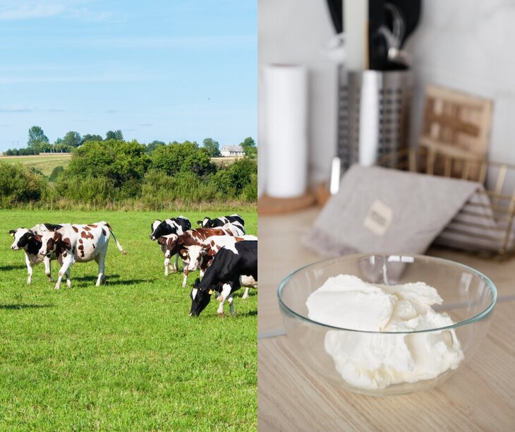 Stages,cours Atelier Pratique Fromage & » Cycle Explorer filière lait fromage