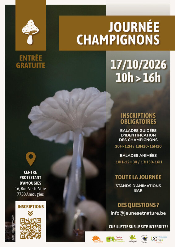 Loisirs Journée Champignon