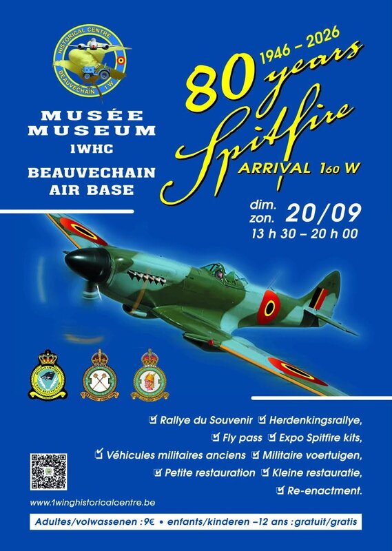 Loisirs 80 de Force Aérienne de l arrivée spitfire