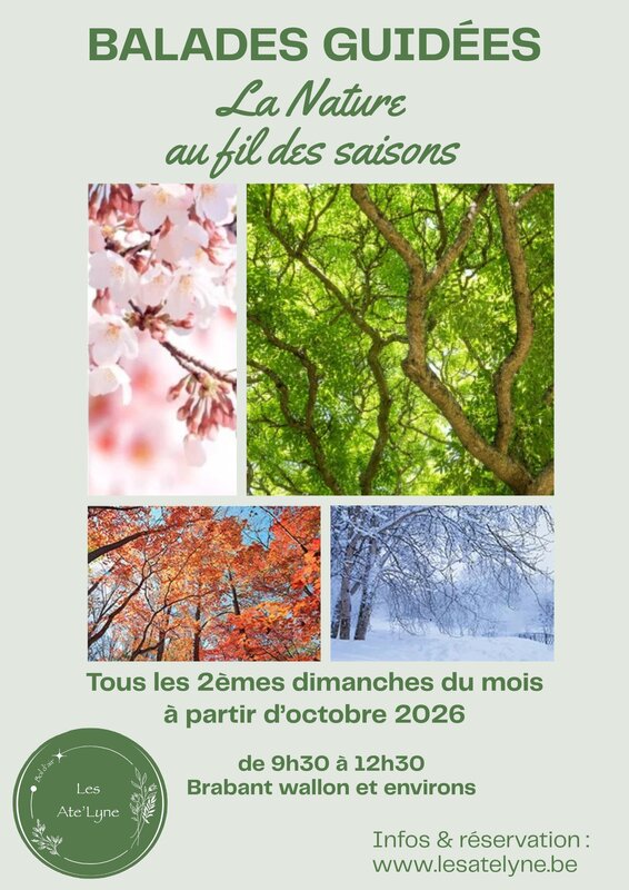 Loisirs Balade guidée automnale