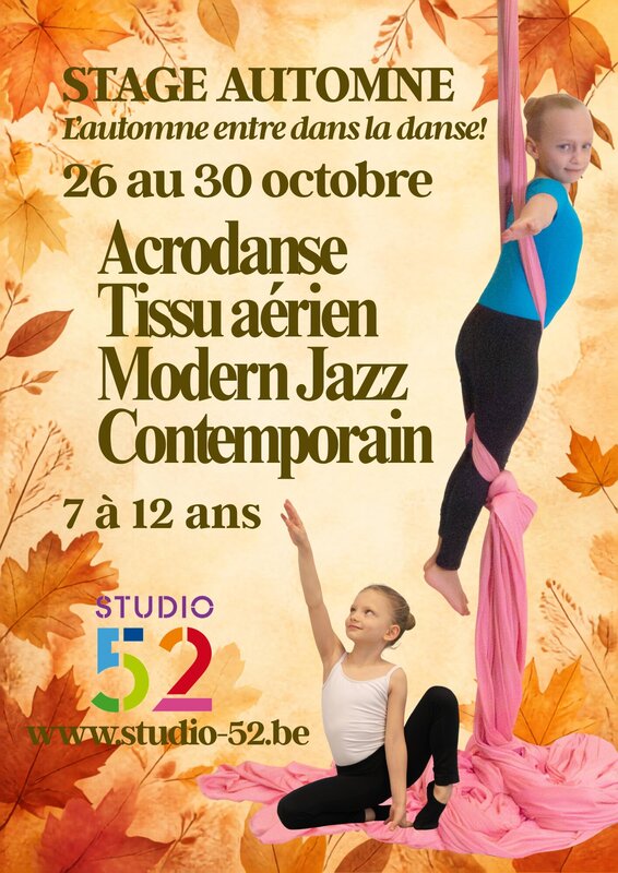 Stages,cours Stage multi-danses, acrobaties tissu aérien