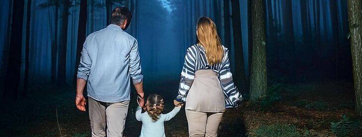 Loisirs Safari Nocturne
