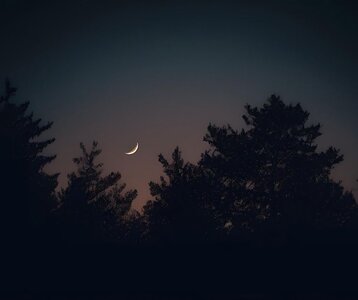 Loisirs La nature crépuscule