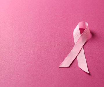 Stages,cours Octobre la Rose
