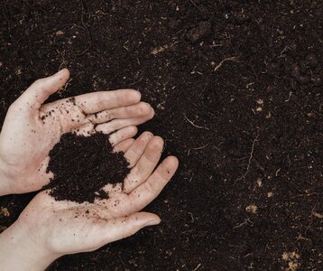 Stages,cours Préparer sol pour l’hiver