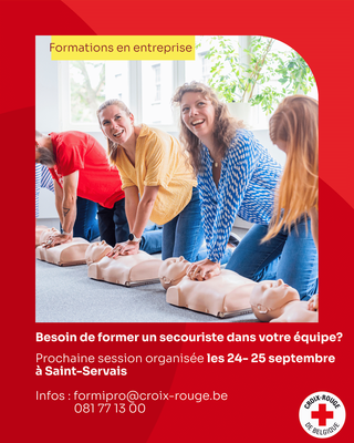 Stages,cours Formation Premiers Secours destination professionnels
