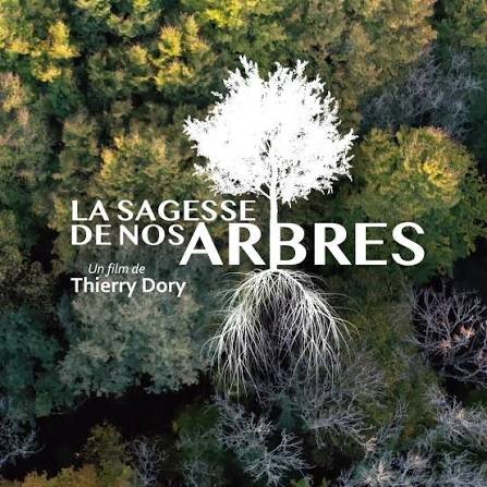 Spectacles La sagesse nos arbres dimanche vert)