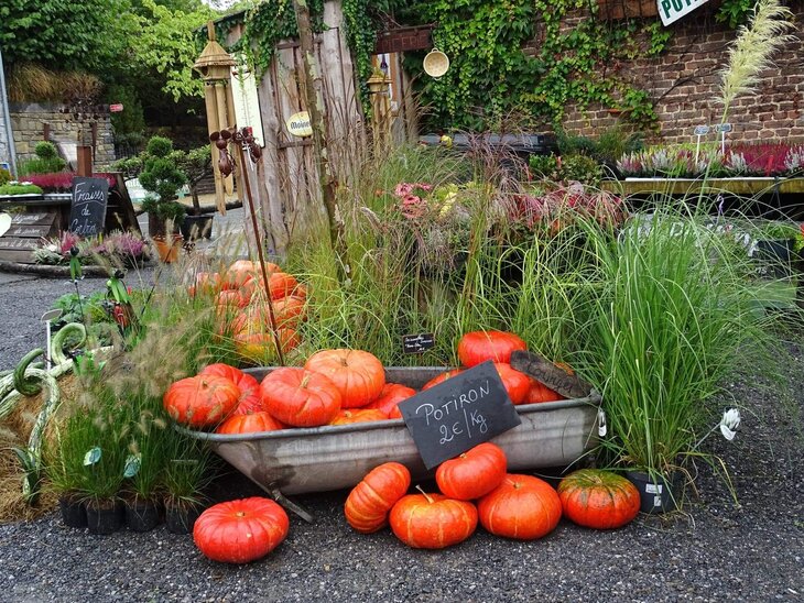 Loisirs Fête la courge