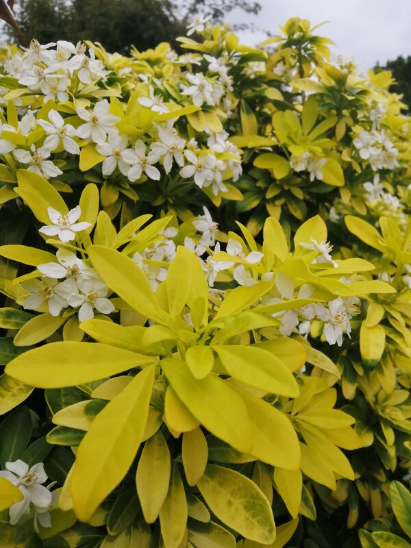 Loisirs Jardin privé visiter