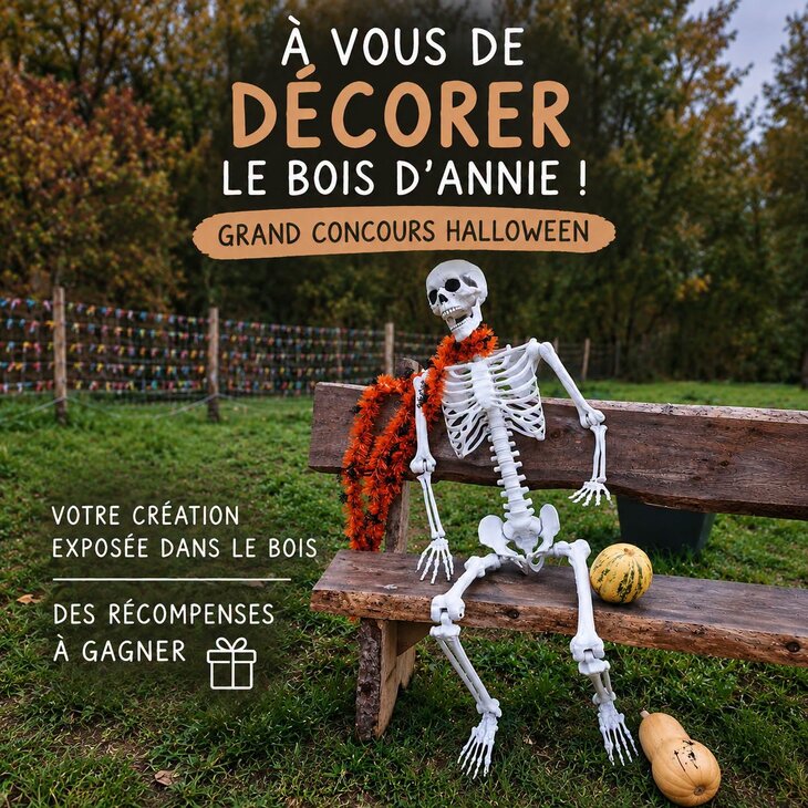Expositions Concours - Décors Halloween