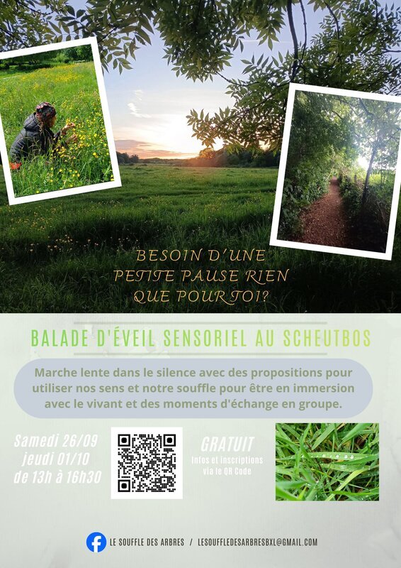Stages,cours Balade éveil sensoriel semaine