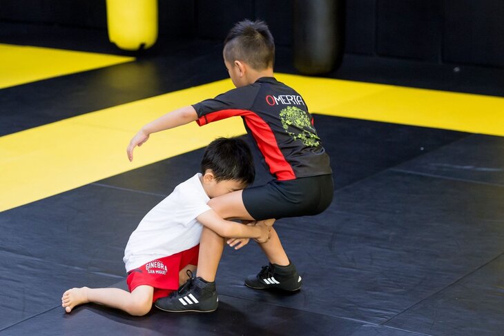 Stages,cours Cours Luttes Grappling