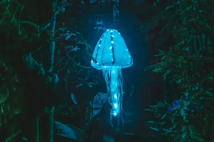 Spectacles Floridylle - Monde Merveilleux l Eau (Festival lumières)