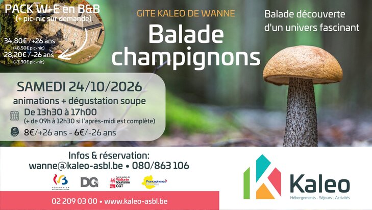 Loisirs Balade Champignons