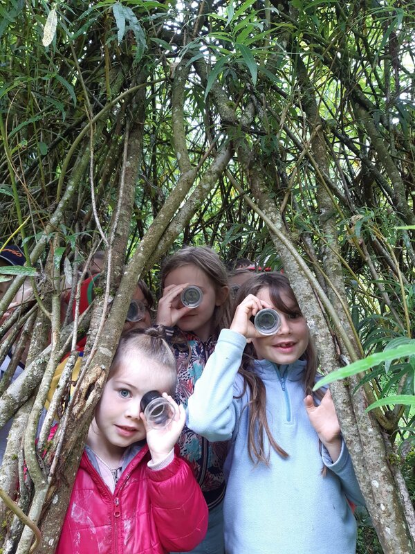 Stages,cours Stages nature : aventures d automne