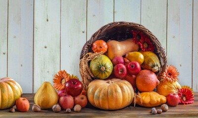 Loisirs Journée la courge la ferme la Bosse Jauque
