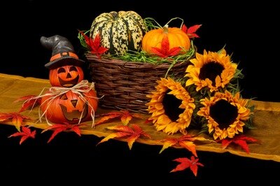 Spectacles Semaine Halloween
