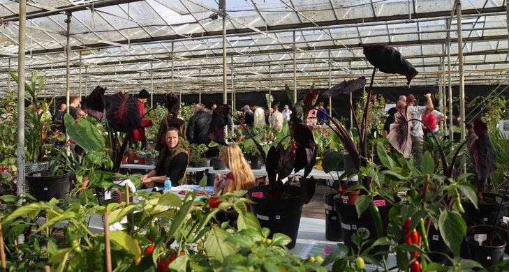 Najaarsbeurs Exotische Planten