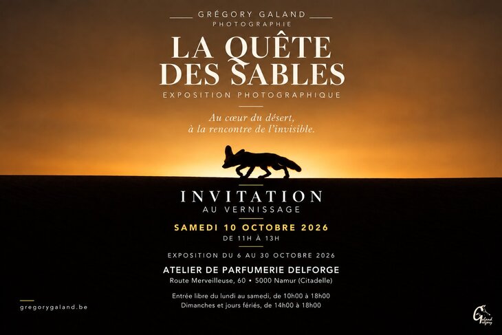 Expositions La Quête Sables à rencontre fennec