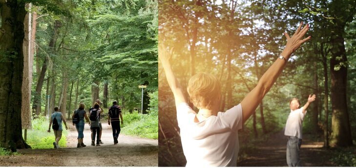 Stages,cours Bain Forêt (Forêt Soignes)