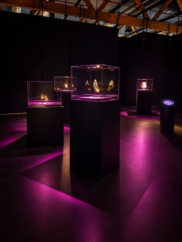 Loisirs Les vacances d automne Préhistomuseum 