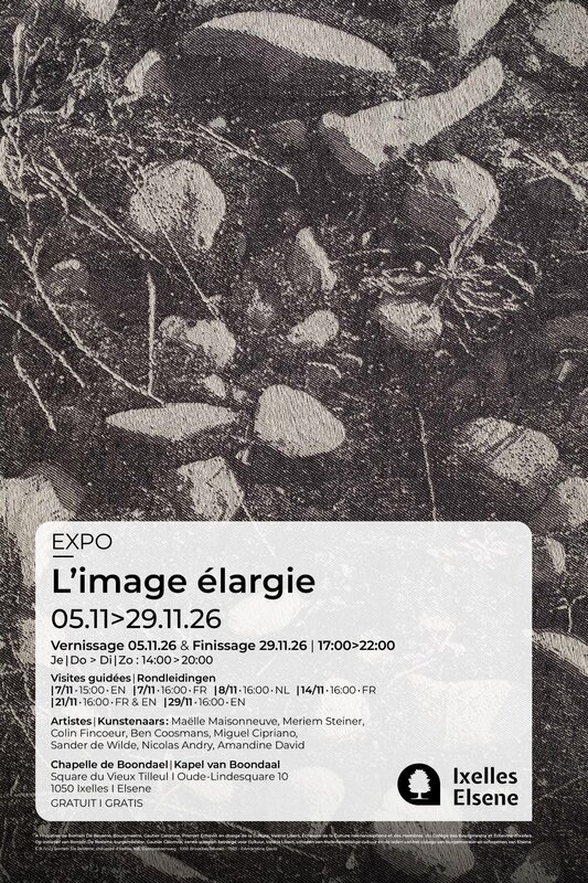 Expositions L’image élargie