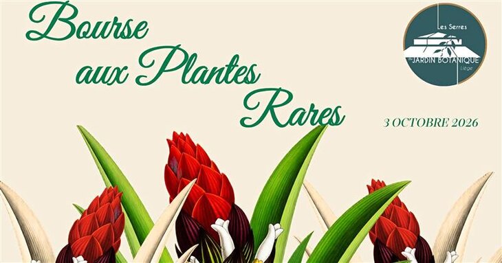 Loisirs Bourse plantes rares