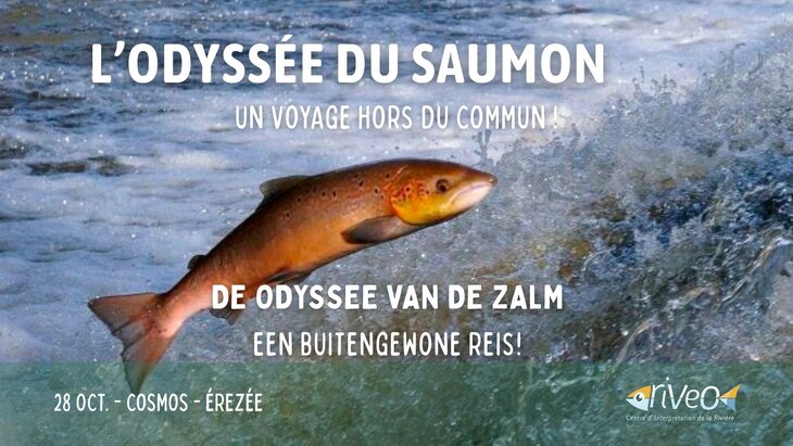 Loisirs L’Odyssée saumon animation nature CoSMos